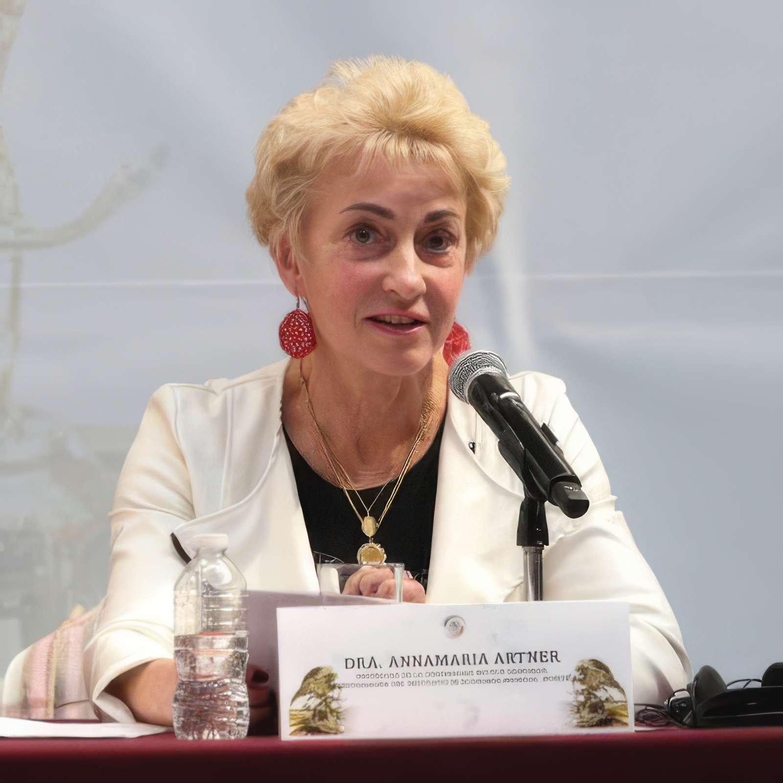 Po pierwsze suwerenność – rozmowa z prof. Annamarią Artner, ekonomistką z Węgierskiej Akademii Nauk