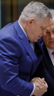 Serwis Informacyjny Myśli Polskiej 24.02.2026