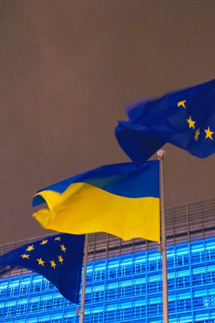 Bieleń: Gorzkie lekcje wojny