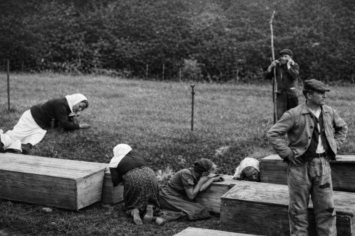 Wojciechowska: O żołnierzach i funkcjonariuszach walczących z UPA Wojciechowska: O żołnierzach i funkcjonariuszach walczących z UPA