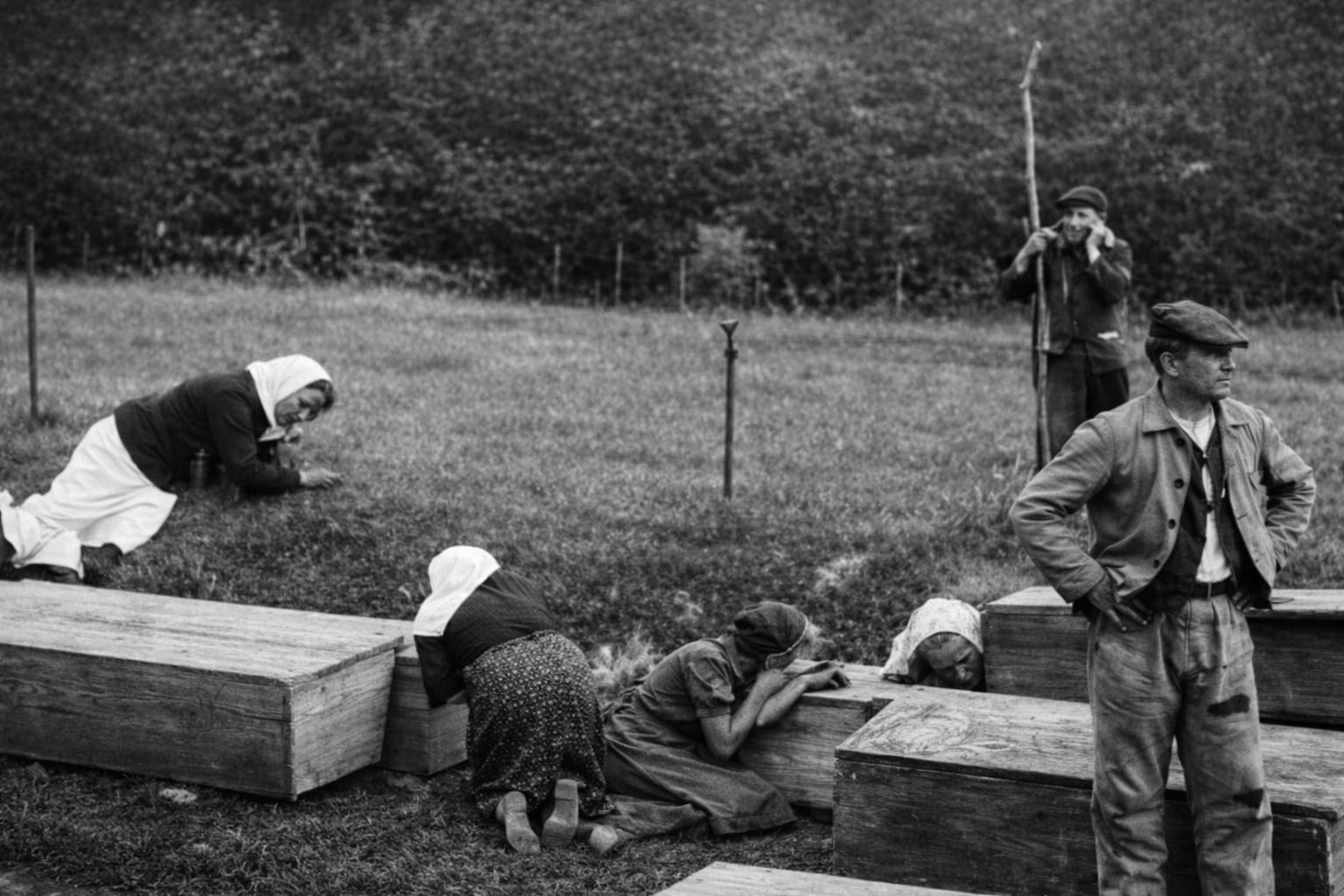 Wojciechowska: O żołnierzach i funkcjonariuszach walczących z UPA