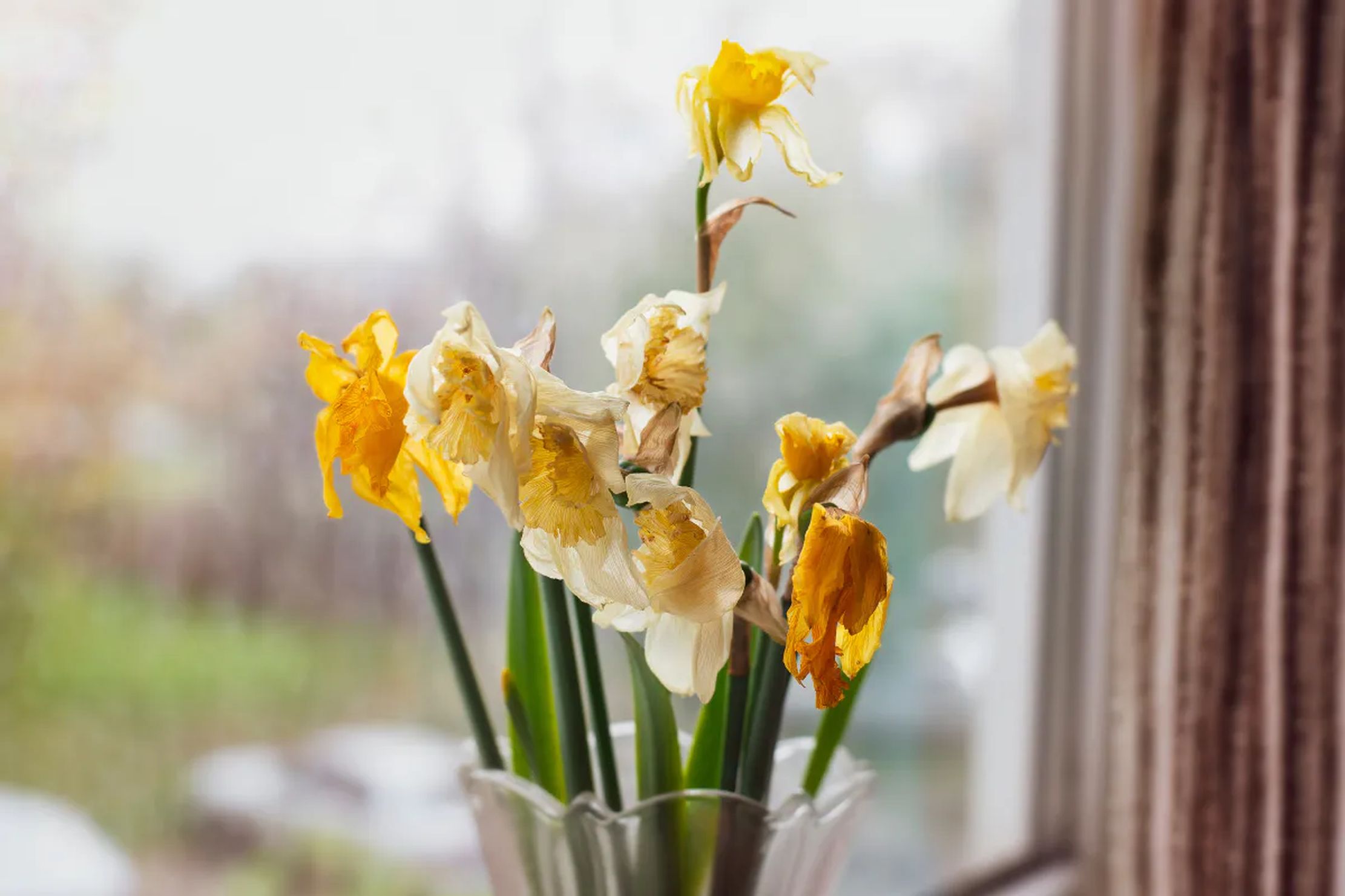 Zwiędłe żonkile, czyli niewygodna prawda o powstaniu w getcie