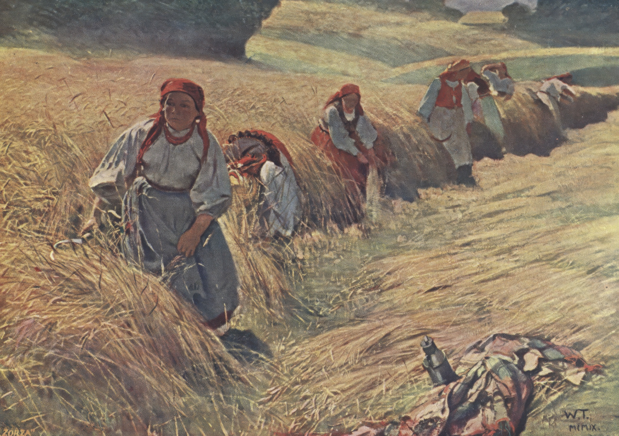 Dwornik: Kłosy zadźwięczały o sierp