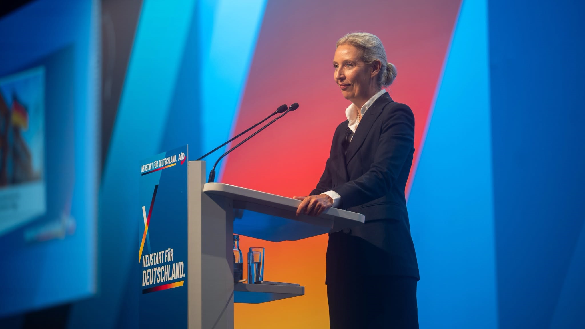 Spokojnie – to tylko AfD