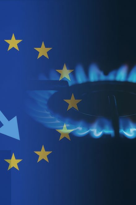 Petrycki: Bruksela dobija gospodarkę Europy